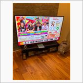 今週は早めに