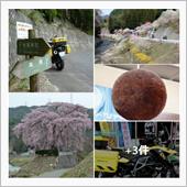 中山道・木曽路ツー　ゼロ磁場 ...