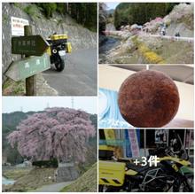 中山道・木曽路ツー　ゼロ磁場＆秘水　三峰川原でランチ&amp;コーヒーブレイク ☕