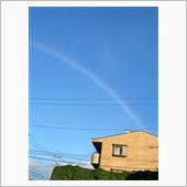 空を見上げたら虹が🌈