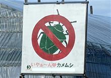 今年もぼちぼち、兵器出動。