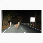 幽霊出そうで…