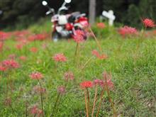 お彼岸は過ぎたけど