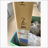 知らないワード