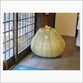 ウロウロ旅を終えて帰宅😅