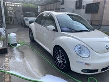 可愛らしい見た目と違ってとてもタフ