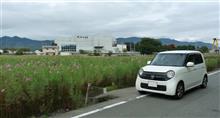 秋を感じようと出動したのですが