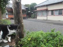 カタツムリ🐌にご注意ください⚠️