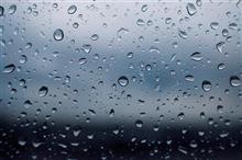 rainy holiday  ☔
