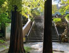 木🌲が燃えて🔥ている⁉️