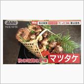 国内産は不作のようですが・・・