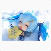 不安に成って来た・・・