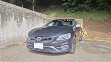 10月10日、師岡熊野神社に参拝        #Volvo #S60 #ナッピー #師岡熊野神社 #アピタテラス横浜綱島