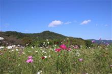 長瀞 花の里