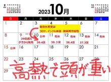 発熱が続き今週いっぱい休みます！