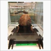 ちょっと世田谷区を散策①