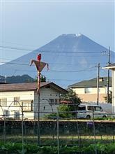 近所の競馬山🏇、ある意味熊より怖い案山子達? 近所の競馬山🏇、ある意味熊より怖い案山子達?