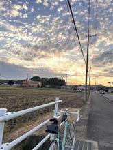 自転車が楽しくなって来た