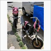 晴れてきましたので先ずは洗車 ...