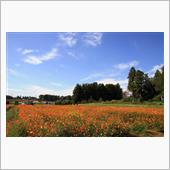 富田さとにわ耕園