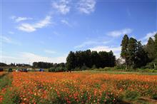 富田さとにわ耕園