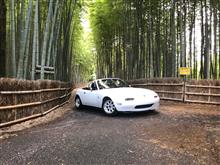 新舞子サンデーに行ってきました。