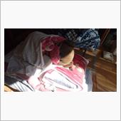 冬眠前の静けさ･････zzz