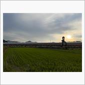 鳥取帰省