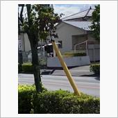 街路樹が無くなっていた