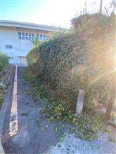 大変な事になって居た
