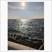 高洲海浜公園でサヨリ狙い