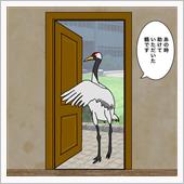 ひとりdeぐるり北海道　7日 ...