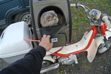 〔ねこ〕今年最後のバイクねこ＆レミ自宅へ