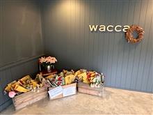 last  wacca  へ行ってきました