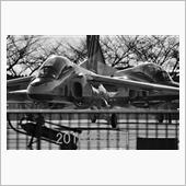 2023年9月1日(金)松島 ...