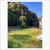 南房総滞在3日目、KTMパド ...