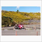 MotoGP、999R、14 ...