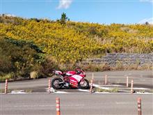 MotoGP、999R、147、REVISIONな日曜日