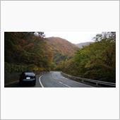 今日は仙人峠の紅葉へ