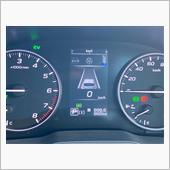 スエヒロガリズ888km、ゲ ...