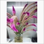10/24（火曜日）秋の花♫