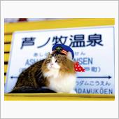 芦ノ牧温泉駅・３代目の猫駅長 ...