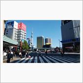 今日の都内は晴天で温かい･･ ...