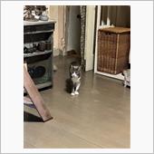 もぅなっとるでぇf^_^;