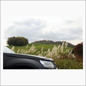 冬の前にもうひと張り