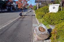 町内一斉清掃