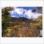 紅葉を見に行こうよ２０２３