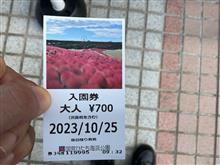 国営ひたち海浜公園のコキアを見に行ってきました。(いばらき遠征①) 国営ひたち海浜公園のコキアを見に行ってきました。(いばらき遠征①)