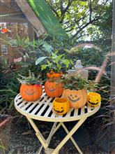 10月31日は、ハロウィン🎃