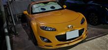 思い立ったが吉日ですね。(≧∇≦)b その気1